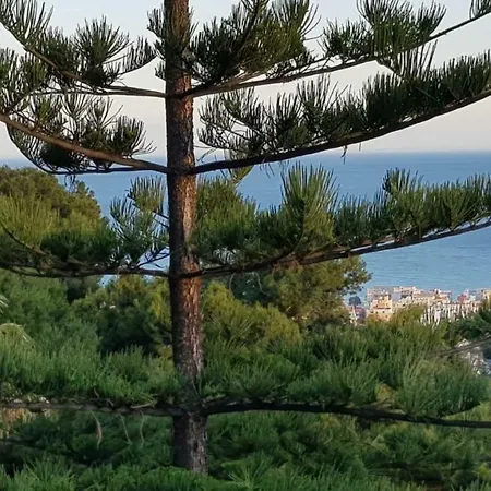 Rentcostadelsol Pinares-malaga